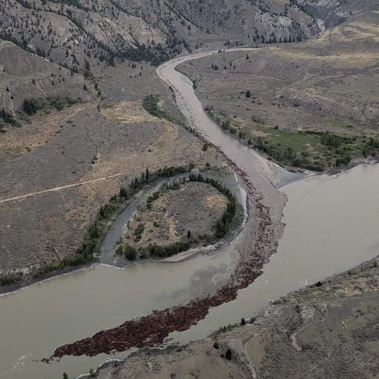 B.C. landslide 'dramatically' impacts salmon spawn but conditions improve: task force